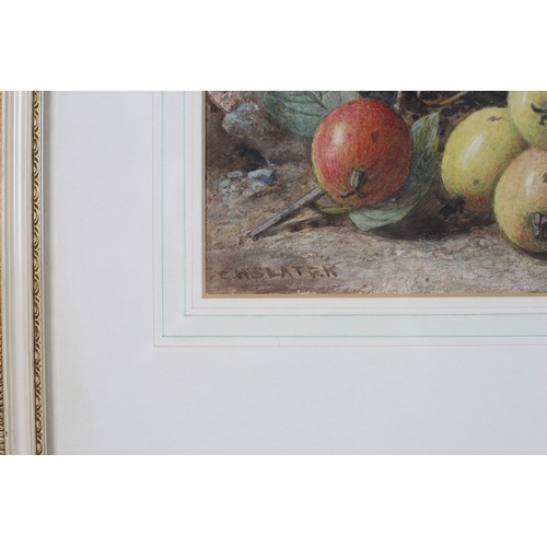 219 - CHARLES HENRY SLATER (1820 - 1890)
Still Lives with Apples and Plums on Mossy Banks
A Pair 
Watercol... 