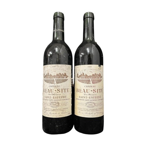 765 - Chateau Beausite Red, Cru Bourgeois Appellation Sainte Estephe Controlle
Proprietiere Famille Castej... 