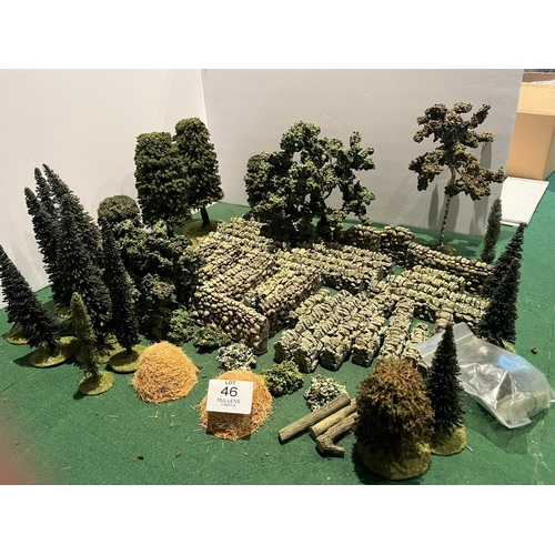 Lot 46        