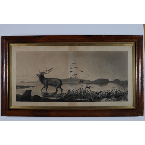 149 - after EDWIN LANDSEER 
'The Sanctuary'
Engraving 
Image: 40cm (h) x 90cm (w) 
Frame: 64cm (h) x 113cm... 