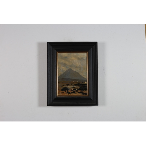 295 - ALEX MCKENNA 
'Sliabh Mór, Achaill'
Oil on canvas
Signed lower left
Monogrammed verso 
Image: 32cm (... 