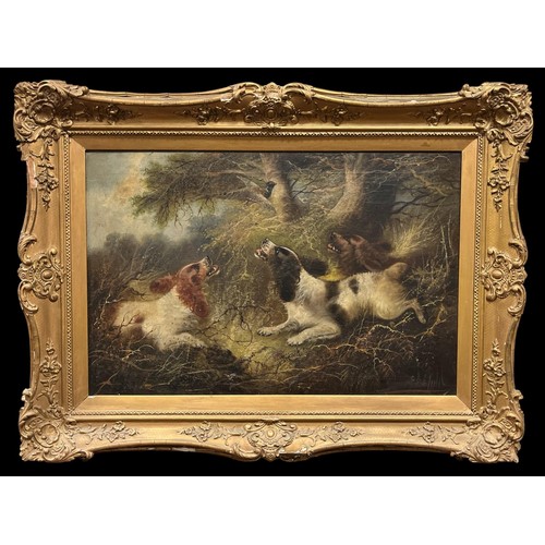 EDWARD ARMFIELD (1817-1896)
Three Spaniels and a Pheasant 
Oil on canvas 
Signed lower right 
Image: 49cm (h) x 75cm (w) 
Frame: 77cm (h) x 102cm (w) (AF)