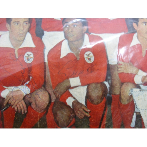 107 - BENFICA, 1962, Champions Of Europe, 34x26cm colour team group image, hand signed by: Cruz, Cavem, Ge... 