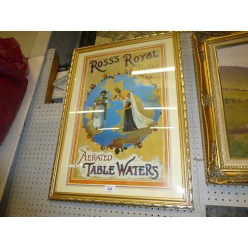 245 - ROSS'S ROYAL FRAMED ADVERT