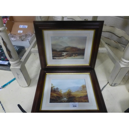 224 - 2 FRAMED PRINTS