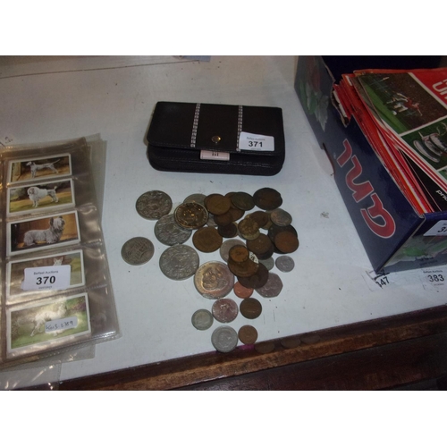 371 - COIN LOT