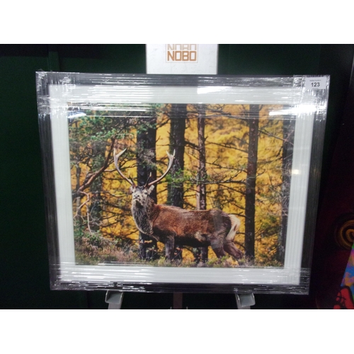 123 - IRISH PHOTOGRAPHY PRINT ON COTTON PAPER WITH A 20X16 GLASS FRAME STAG