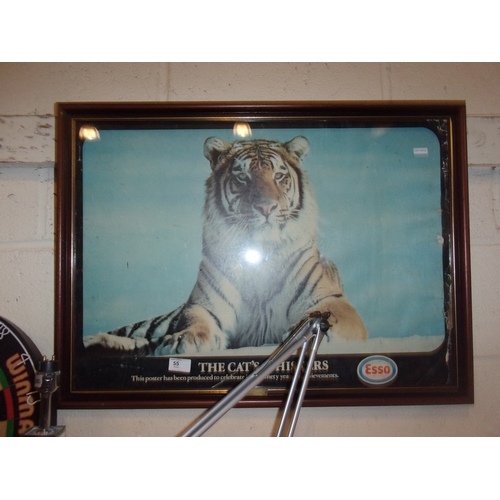 Lot 55        