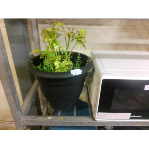 Lot 20        