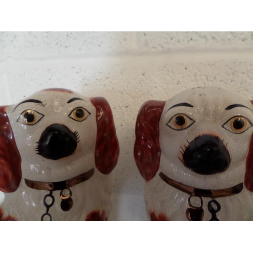 77 - A Pair of 12 inch Staffordshire Fire Dogs