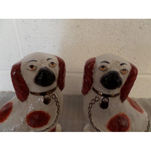 78 - A Pair of 9 Inch Staffordshire Fire Dogs