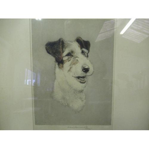 358 - A Signed Print of a Wire Haired Terrier