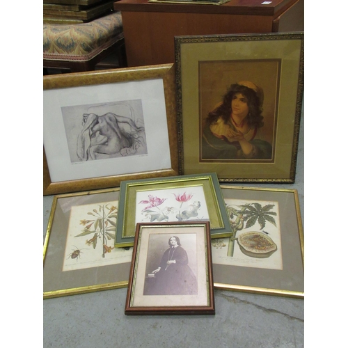 38a - A Quantity of Framed Pictures and Prints - Botanical etc.