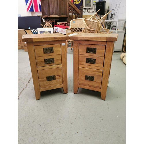 257 - A Pair of Oriental Style Bedside Cabinets