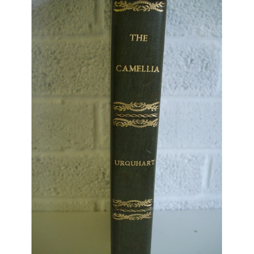 91 - The Camellia Illustration Book by Beryl Urquhart Press