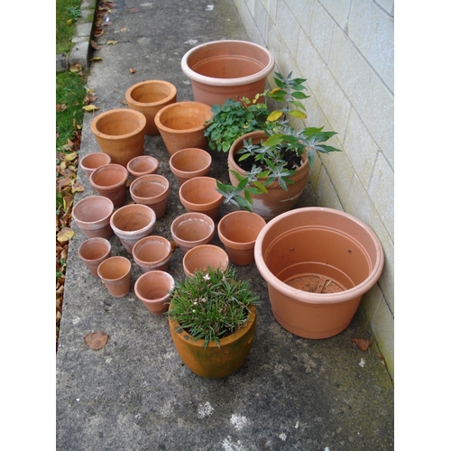 138 - A Selection of Terracotta Garden Pots in Various Sizes plus Pots with Plants