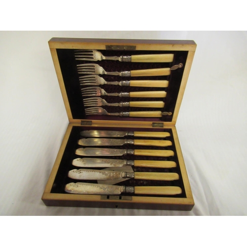 804 - A Cased Set of Fish Eaters with Bone Handles