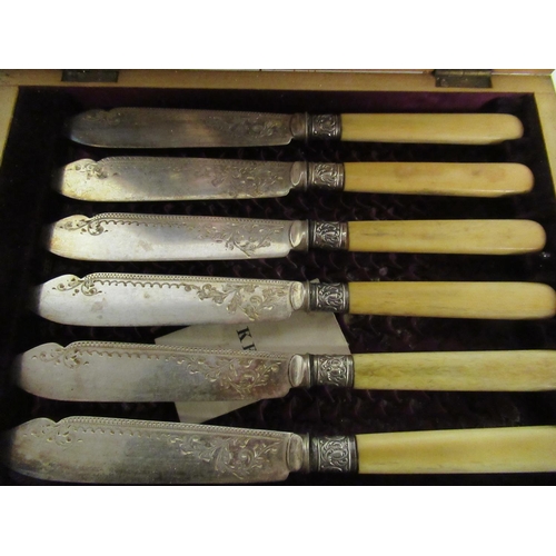 804 - A Cased Set of Fish Eaters with Bone Handles