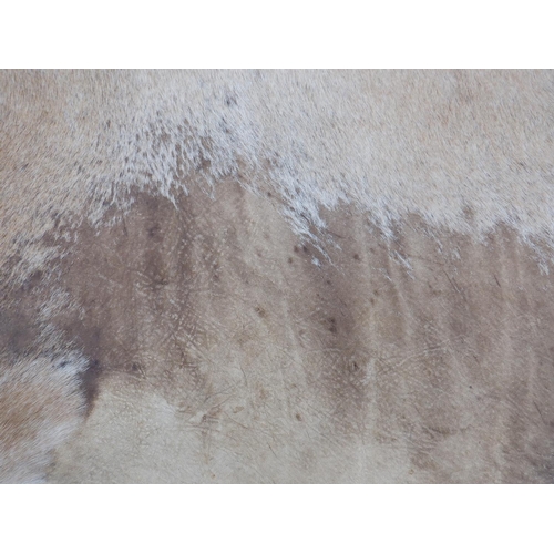 380 - An Ikea Cow Skin Rug - some wear 190 x 80cm