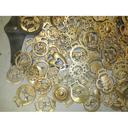 65 - A Large Collection of Horse Brasses