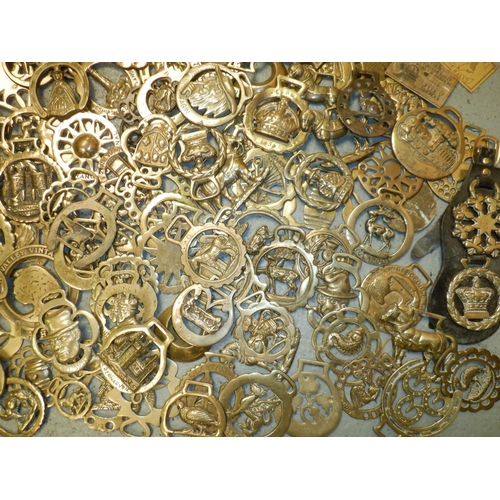 65 - A Large Collection of Horse Brasses