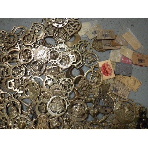 65 - A Large Collection of Horse Brasses