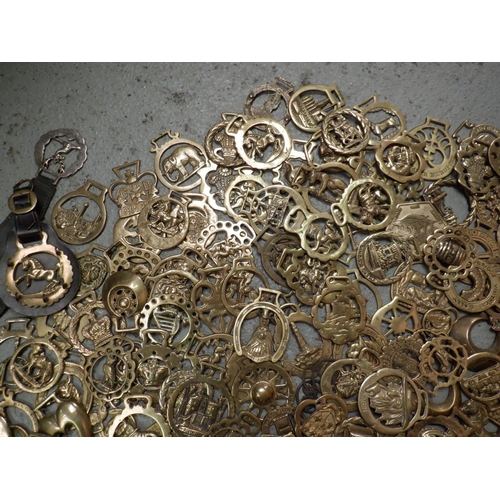 65 - A Large Collection of Horse Brasses