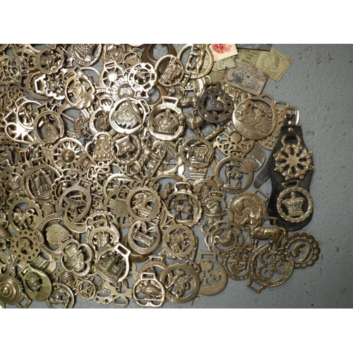 65 - A Large Collection of Horse Brasses