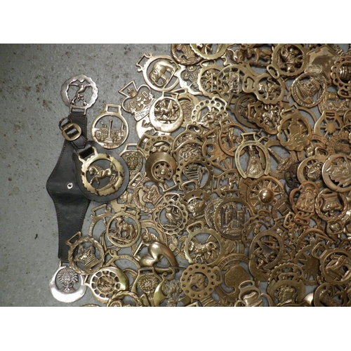 65 - A Large Collection of Horse Brasses