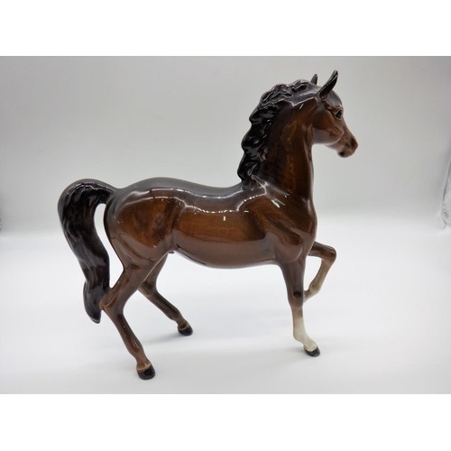 65c - Beswick Dark Brown  Prancing Arab Horse - tiny paint chip underneath - Beswick Stamp in Black - Engl... 