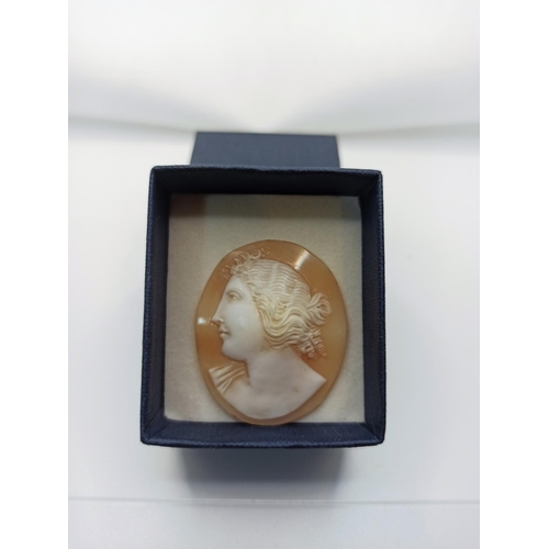 55b - An Early Victorian Carved Shell Cameo