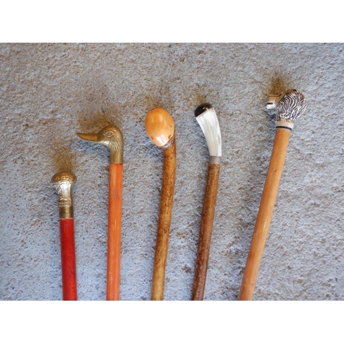 171 - 5 x Walking Sticks with Various Design Handles