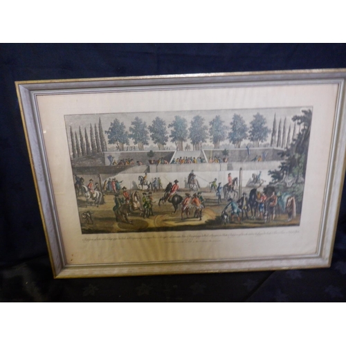 176 - A Pair of 18th Century German Coloured Plate Engravings 51 x 75cm