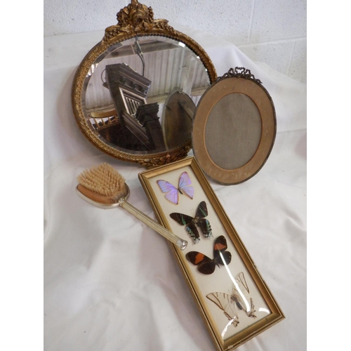 261 - A Round Gilt Mirror , Butterflies, Vintage Picture Frame etc.