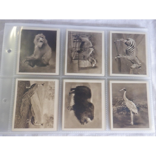 20 - Category Dogs & Zoo : Jacob 25 x Zoo Series, Drapkin 54 x Life at Whipsnade Zoo, Ogdens 25 x Greyhou... 