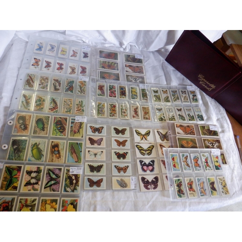 40 - Category - Butterflies, Insects etc.: Players 50 x Butterflies, Player 50 x Butterflies and Moths, S... 