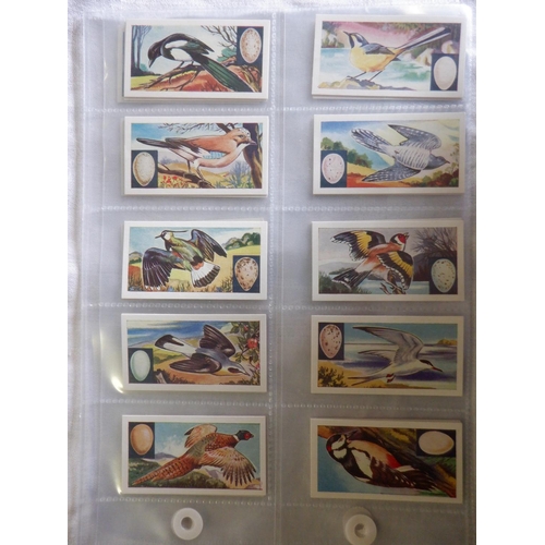 43 - Category -Birds:  Lea 25 x English Birds, Tuckfields M96 x Australiana Birds Series, Church & Dwight... 