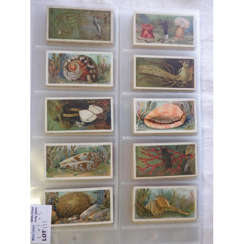 111 - Category - Shells & Fish: Player 50 x Wonders of the Deep Book Price £100 approx.