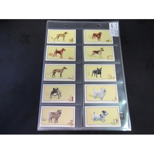 147 - Category -Cats & Dogs: Gallaher 24 x Dogs,  Wills 50 x Dogs Adhesive, Golden Fleece M36 x Dogs . Boo... 