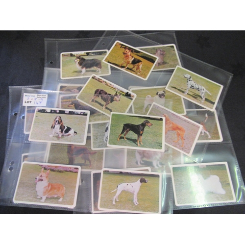 147 - Category -Cats & Dogs: Gallaher 24 x Dogs,  Wills 50 x Dogs Adhesive, Golden Fleece M36 x Dogs . Boo... 