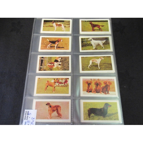 148 - Category - Cats & Dogs: 25 x Dogs Heads, Eopl M30 x Dogs, Cofton.col 25 x Dogs 3rd Series, Cofton. c... 