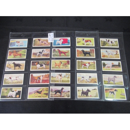 148 - Category - Cats & Dogs: 25 x Dogs Heads, Eopl M30 x Dogs, Cofton.col 25 x Dogs 3rd Series, Cofton. c... 