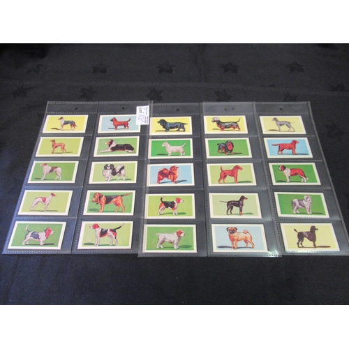 148 - Category - Cats & Dogs: 25 x Dogs Heads, Eopl M30 x Dogs, Cofton.col 25 x Dogs 3rd Series, Cofton. c... 