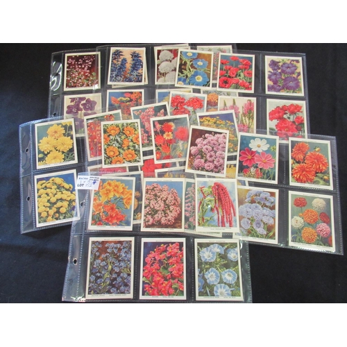 152 - Category - Flowers:  Wills M40 x Garden Flowers New Varieties 2nd Series, Wills M40 x Garden Flowers... 