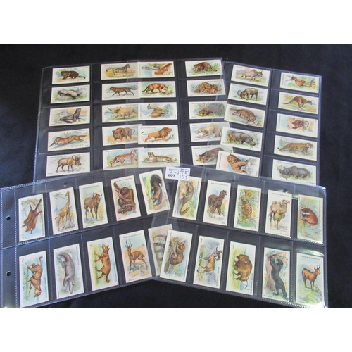 155 - Category - Flowers,  Animals: , Player M24 x Nature Calendar, Wills 48 x Animalloys, Bassett 50 x Li... 