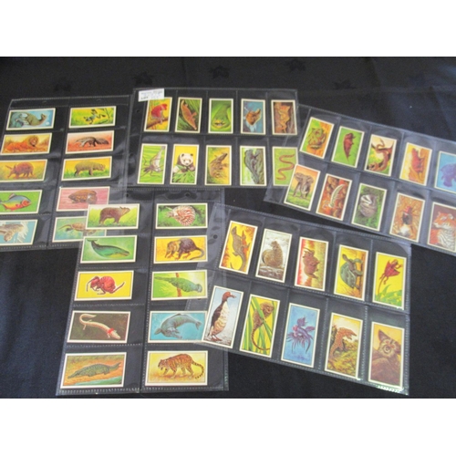 155 - Category - Flowers,  Animals: , Player M24 x Nature Calendar, Wills 48 x Animalloys, Bassett 50 x Li... 