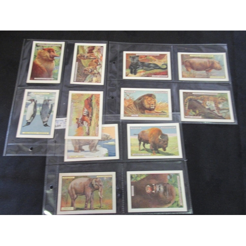 155 - Category - Flowers,  Animals: , Player M24 x Nature Calendar, Wills 48 x Animalloys, Bassett 50 x Li... 