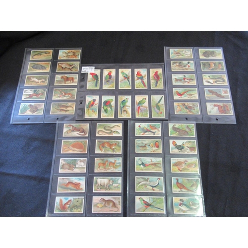 160 - Category -Animals, Pets, Farm : Player 50 x Poultry Transfers, Player L12 x Natural History 2nd Seri... 