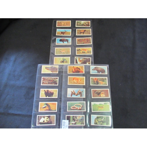 160 - Category -Animals, Pets, Farm : Player 50 x Poultry Transfers, Player L12 x Natural History 2nd Seri... 