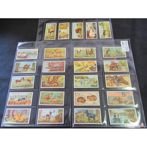 160 - Category -Animals, Pets, Farm : Player 50 x Poultry Transfers, Player L12 x Natural History 2nd Seri... 